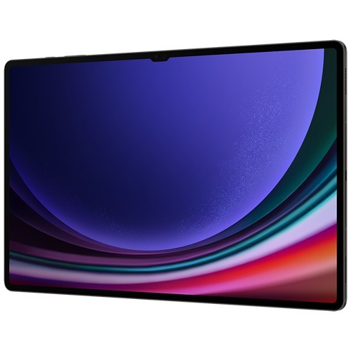 Планшет Samsung Galaxy Tab S9 Ultra Wi-Fi SM-X910 12/256Gb Graphite (Графитовый) EAC