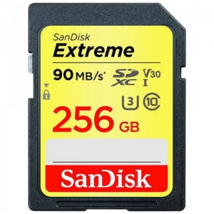 Карта памяти SanDisk Extreme SDXC 256Gb Class 10 UHS-I U3 V30 600x (SDSDXVF-256G-GNCIN)  (6951)