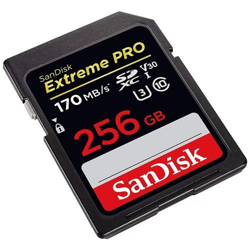 Карта памяти SanDisk SDXC Extreme Pro 256Gb (SDSDXXY-256G-GN4IN) Карта памяти SanDisk SDXC Extreme Pro 256Gb (SDSDXXY-256G-GN4IN)