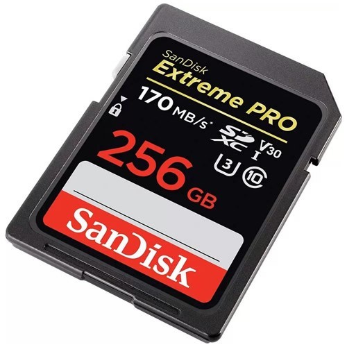 Карта памяти SanDisk SDXC Extreme Pro 256Gb (SDSDXXY-256G-GN4IN) Карта памяти SanDisk SDXC Extreme Pro 256Gb (SDSDXXY-256G-GN4IN)