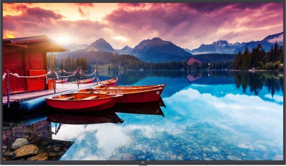 Телевизор Xiaomi Mi TV 4A 55 T2 55" (2020) Black (Черный) EAC