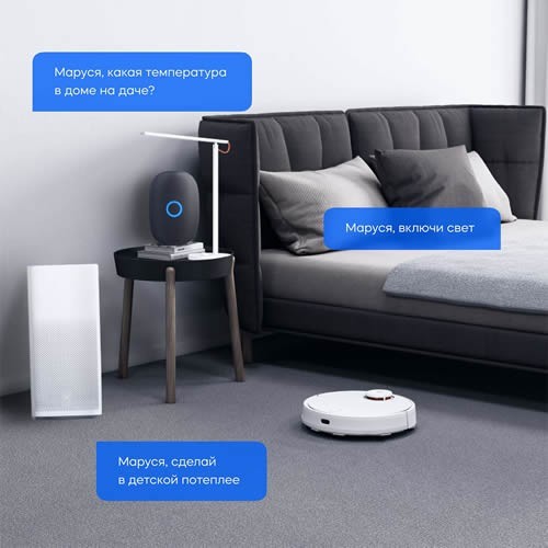 Умная колонка VK Капсула Black (Черный) EAC