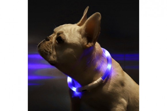 Светящийся ошейник Little Beast Glowing Collar LED XL81-5001 Светящийся ошейник Little Beast Glowing Collar LED XL81-5001