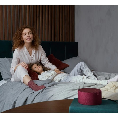 Умная колонка Яндекс Новая Станция Мини (без часов) Red (Красный гранат) EAC