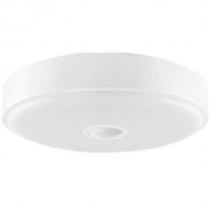 Светильник Xiaomi Yeelight LED Ceiling Lamp 250mm Mini White (Белый) EAC