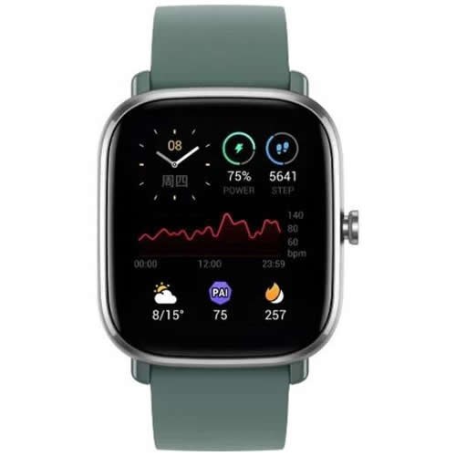 Часы Amazfit GTS 2 Mini Sage Green (Зеленый) EAC